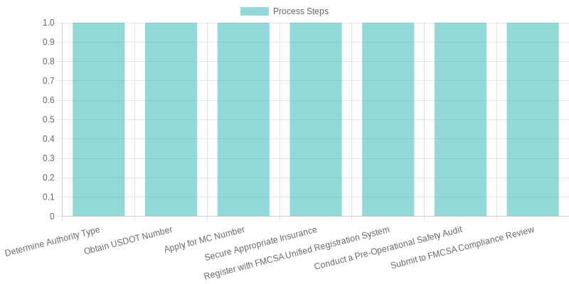 FMCSA Compliance Process Steps